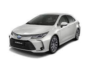 67c56d3c5a45e1740991804